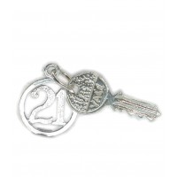 Sterling Silver 21 Yale Key Charm