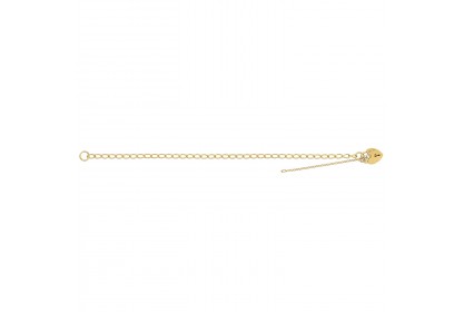 9ct Yellow Gold Ladies Classic Charm Bracelet