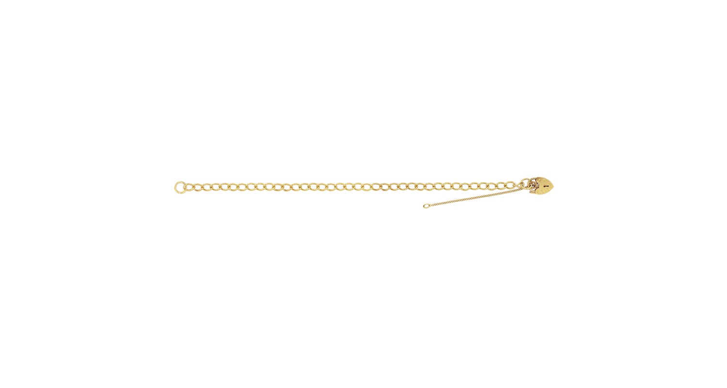 9ct Yellow Gold Ladies Classic Charm Bracelet