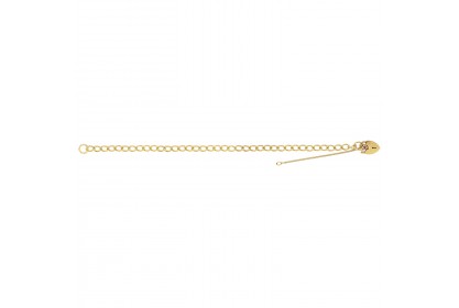 9ct Yellow Gold Ladies Classic Charm Bracelet