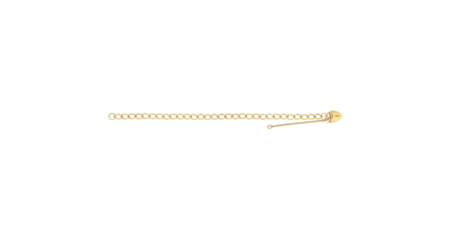 9ct Yellow Gold Ladies Classic Charm Bracelet