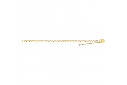 9ct Yellow Gold Ladies Classic Charm Bracelet