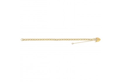 9ct Yellow Gold Ladies Classic Charm Bracelet