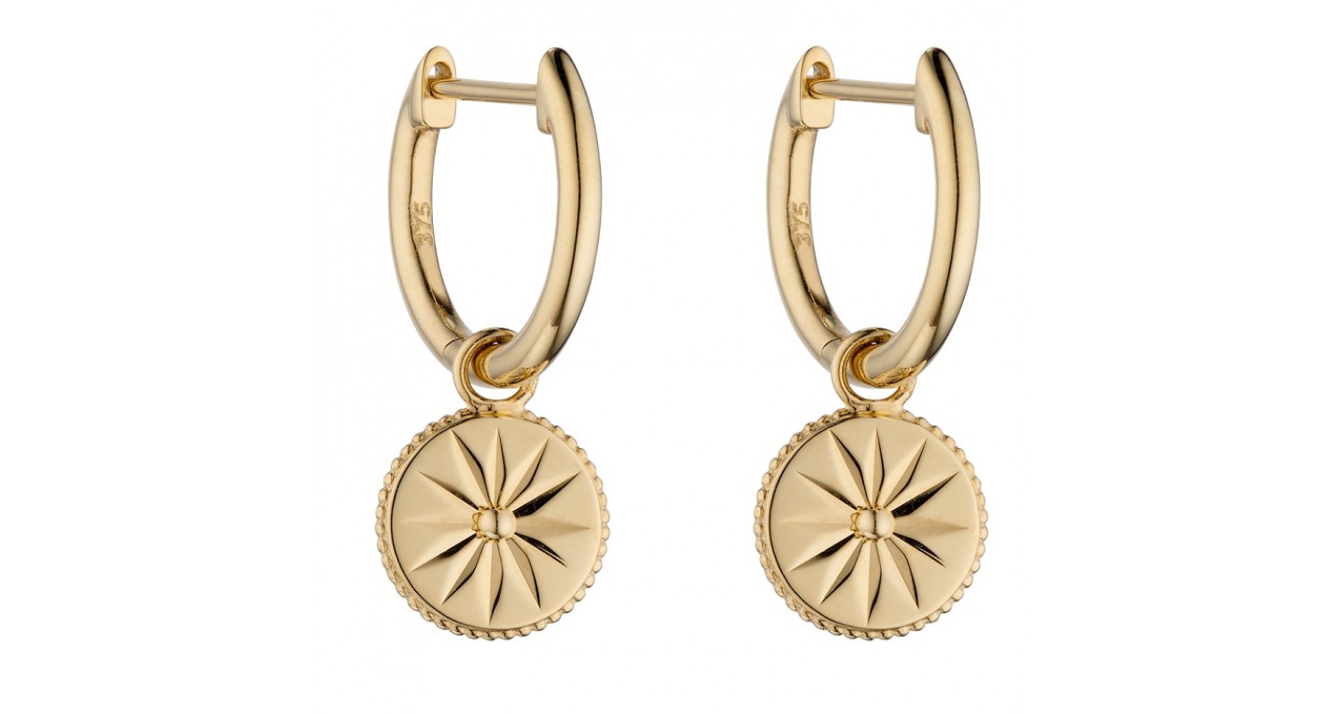 9ct Yellow Gold Wellness Assembled Earrings