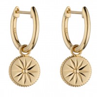 9ct Yellow Gold Wellness Assembled Earrings