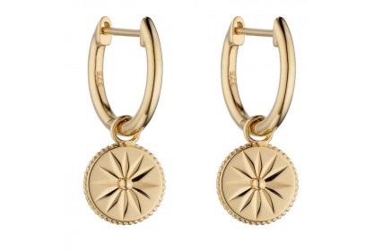 9ct Yellow Gold Wellness Assembled Earrings